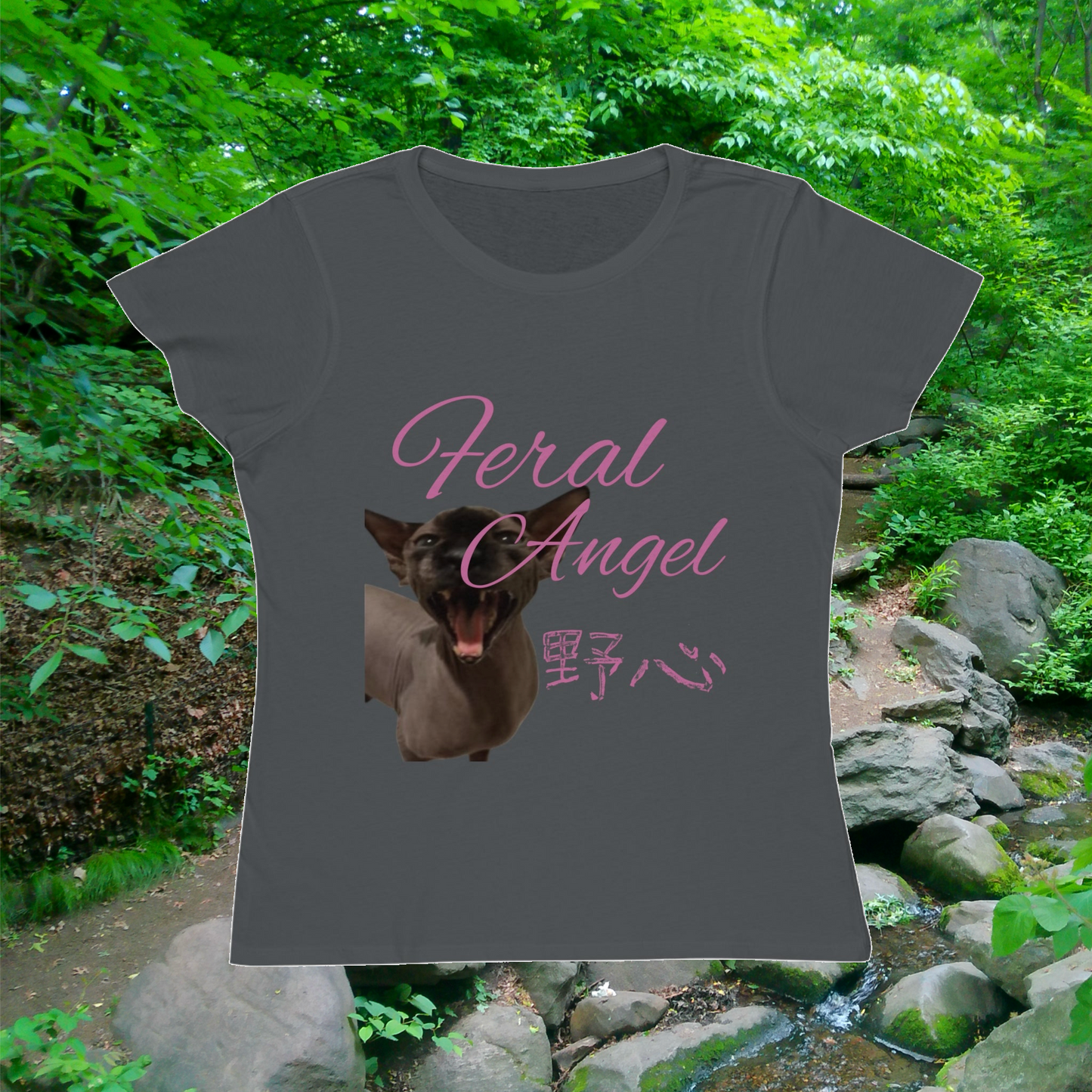 feral angel